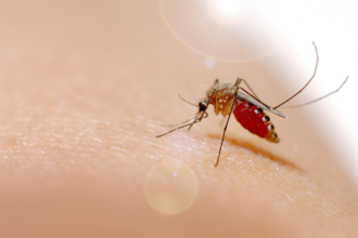 Tropikal Tehlike: Chikungunya Virüsü Hakkında Bilmeniz Gerekenler