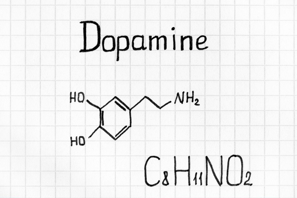 Dopamin Detoksu: Gerçekten Ne Anlama Geliyor?